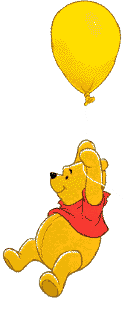 Fly Pooh!