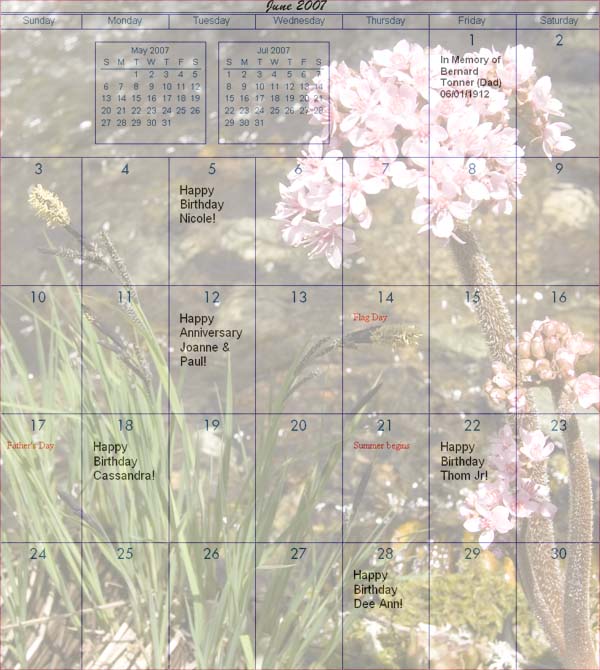 Tonner and Friends Calendar - June 2007