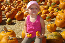 Ireland at the Pumpkin Patch