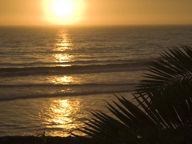 Golden Baja Sunset